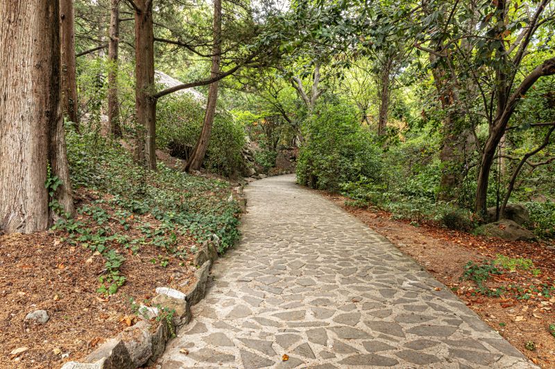 Stone Walkway Repair in Forney, TX