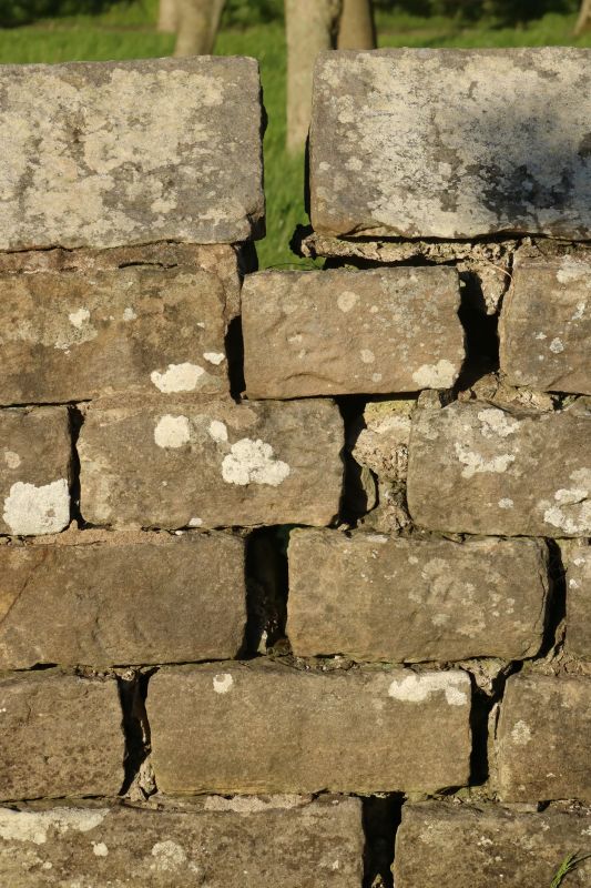 Stone Wall Repair in Sachse, TX
